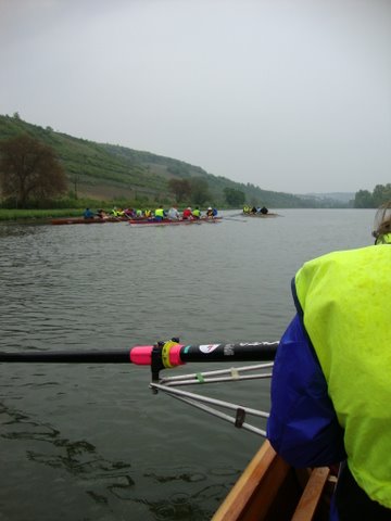 2010 br wf main 018