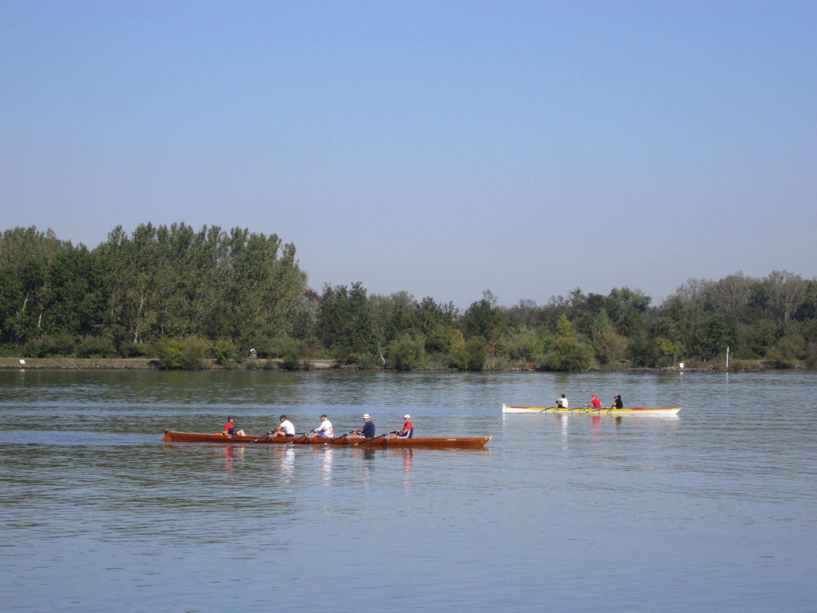 2011 br wf donau 004