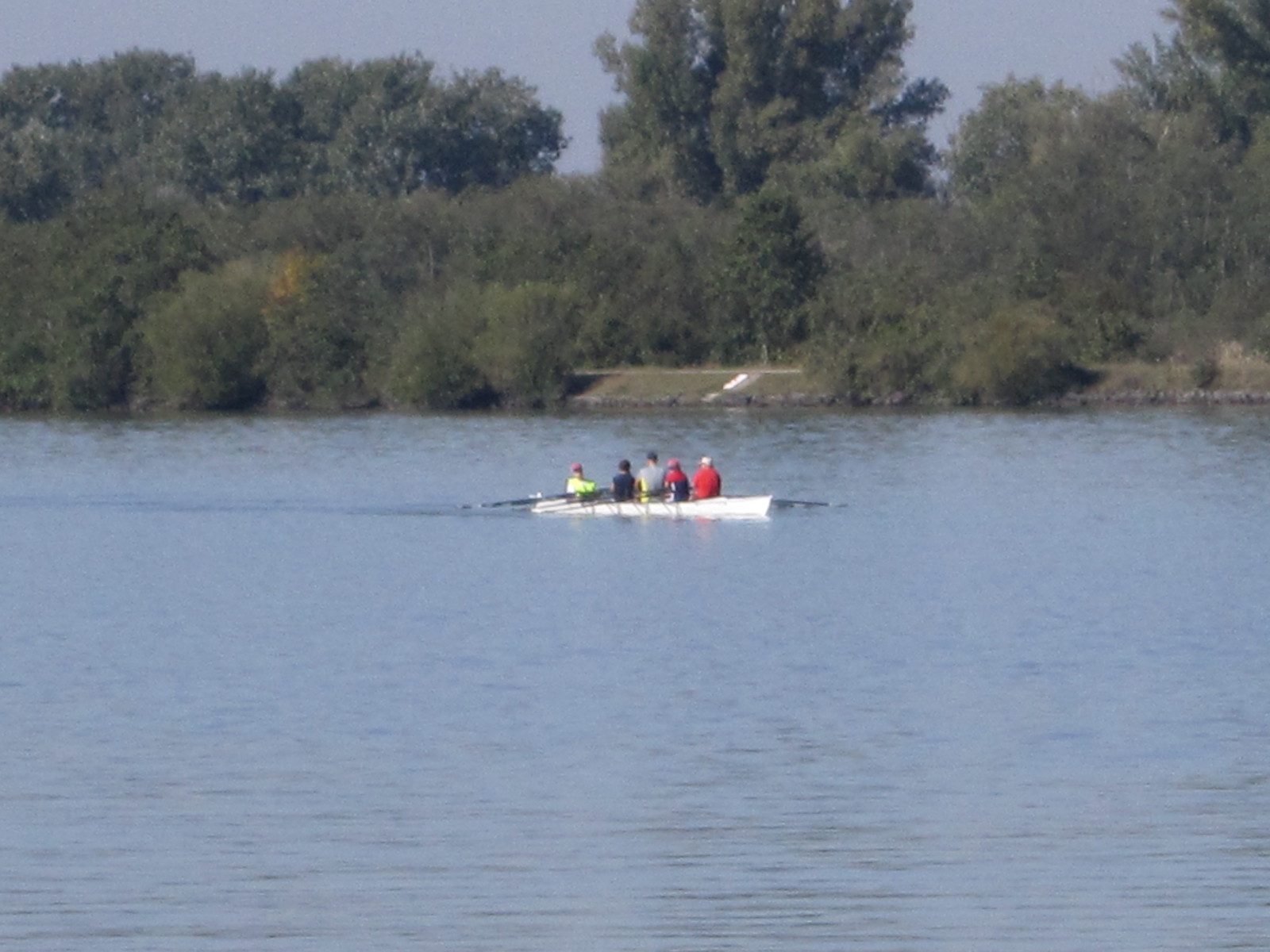 2011 br wf donau 023