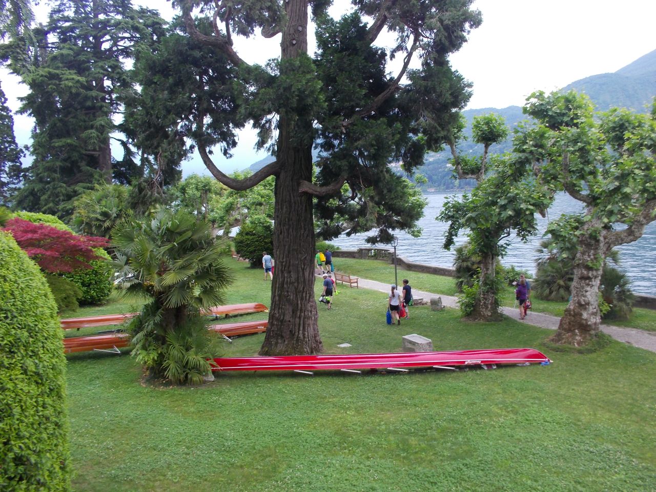 2012 br wf comersee 45