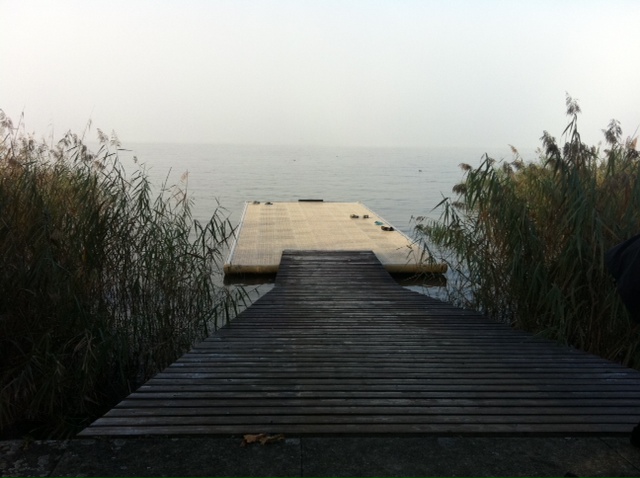 2012 br wf oberer zurichsee 02
