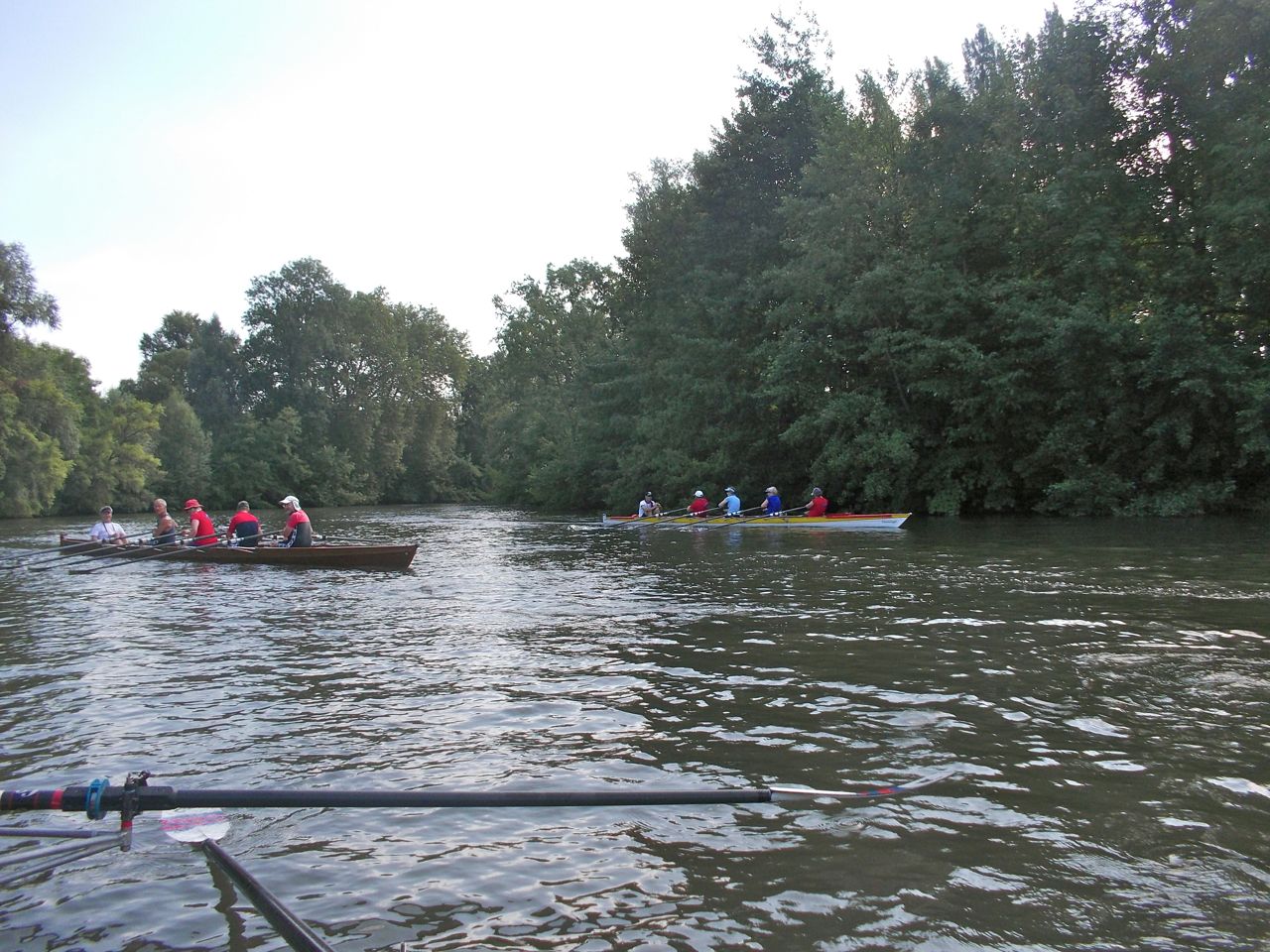 2013 br wf strasbourg-ill 50