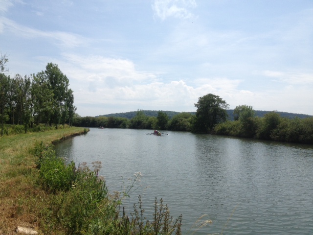 2014 BR WF Saone 06