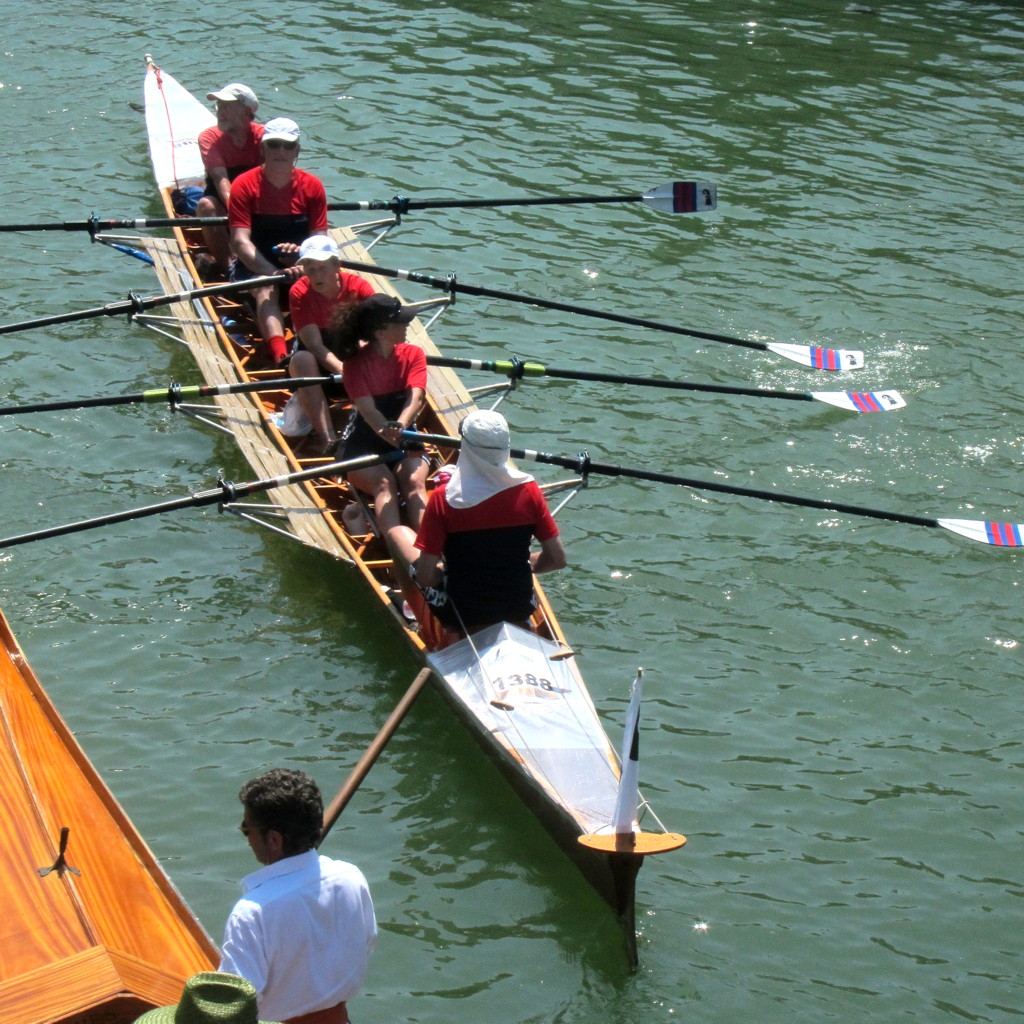 2014 br vogalonga 10