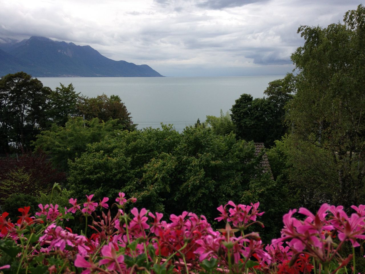 2015 br wf genfersee 014