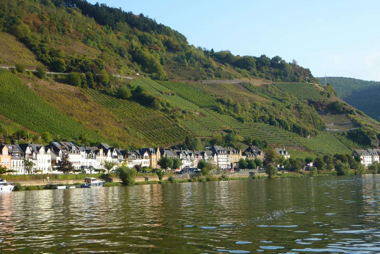 2016 br wf mosel 45