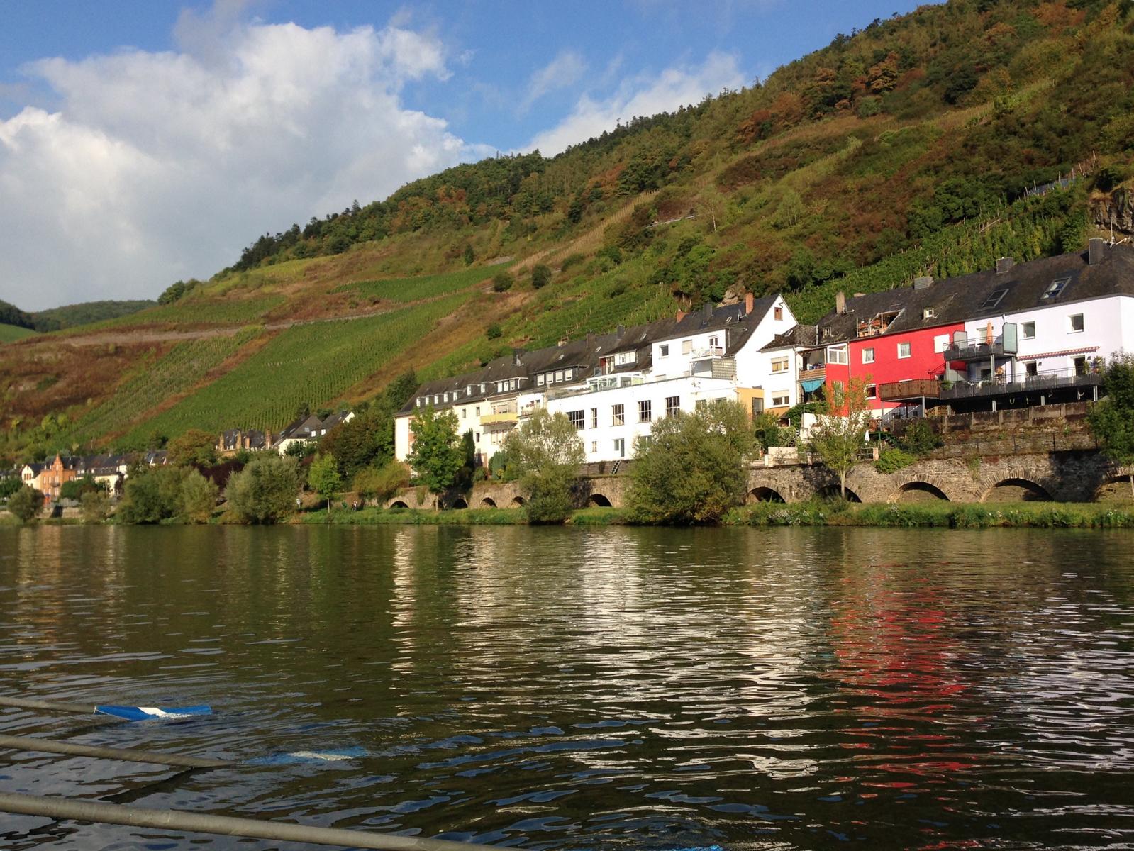 2016 br wf mosel 75