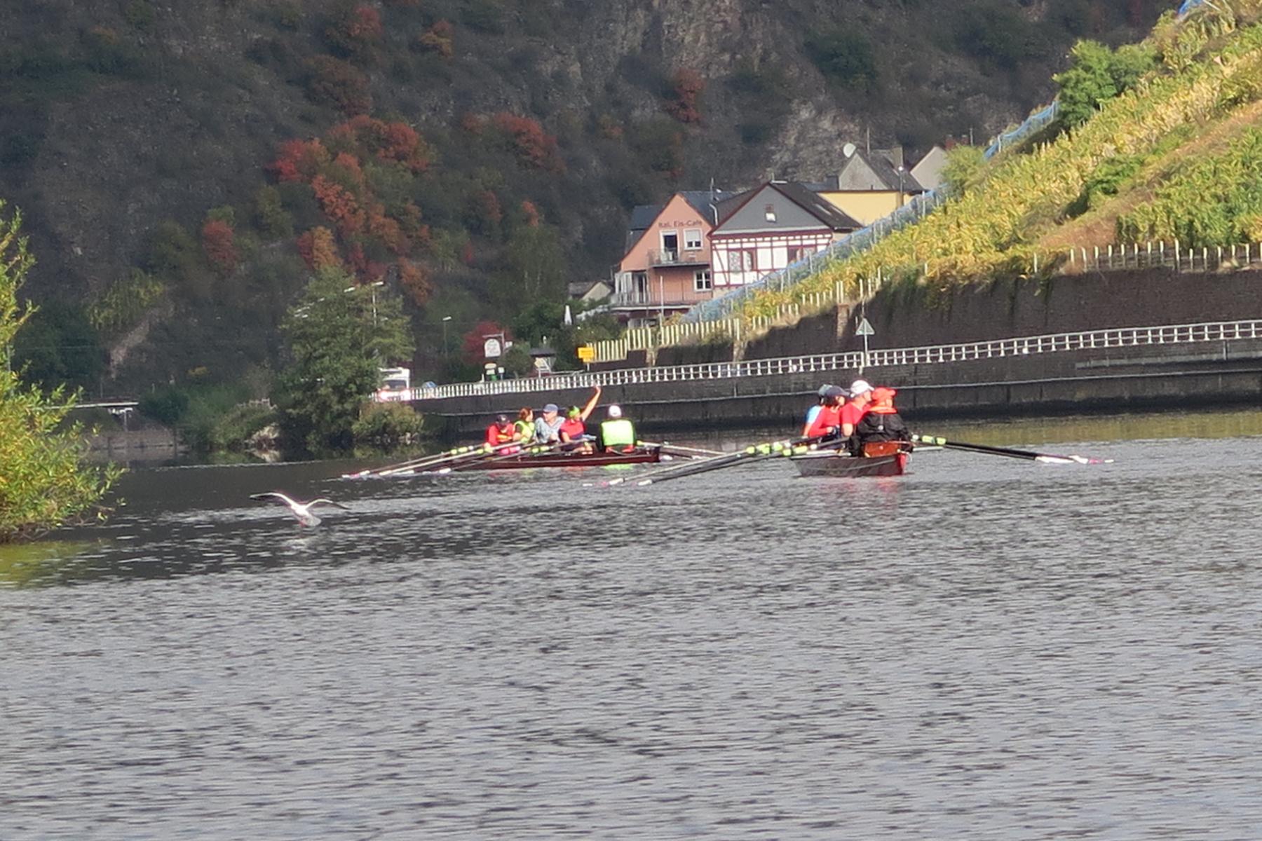 2017 br mosel 36