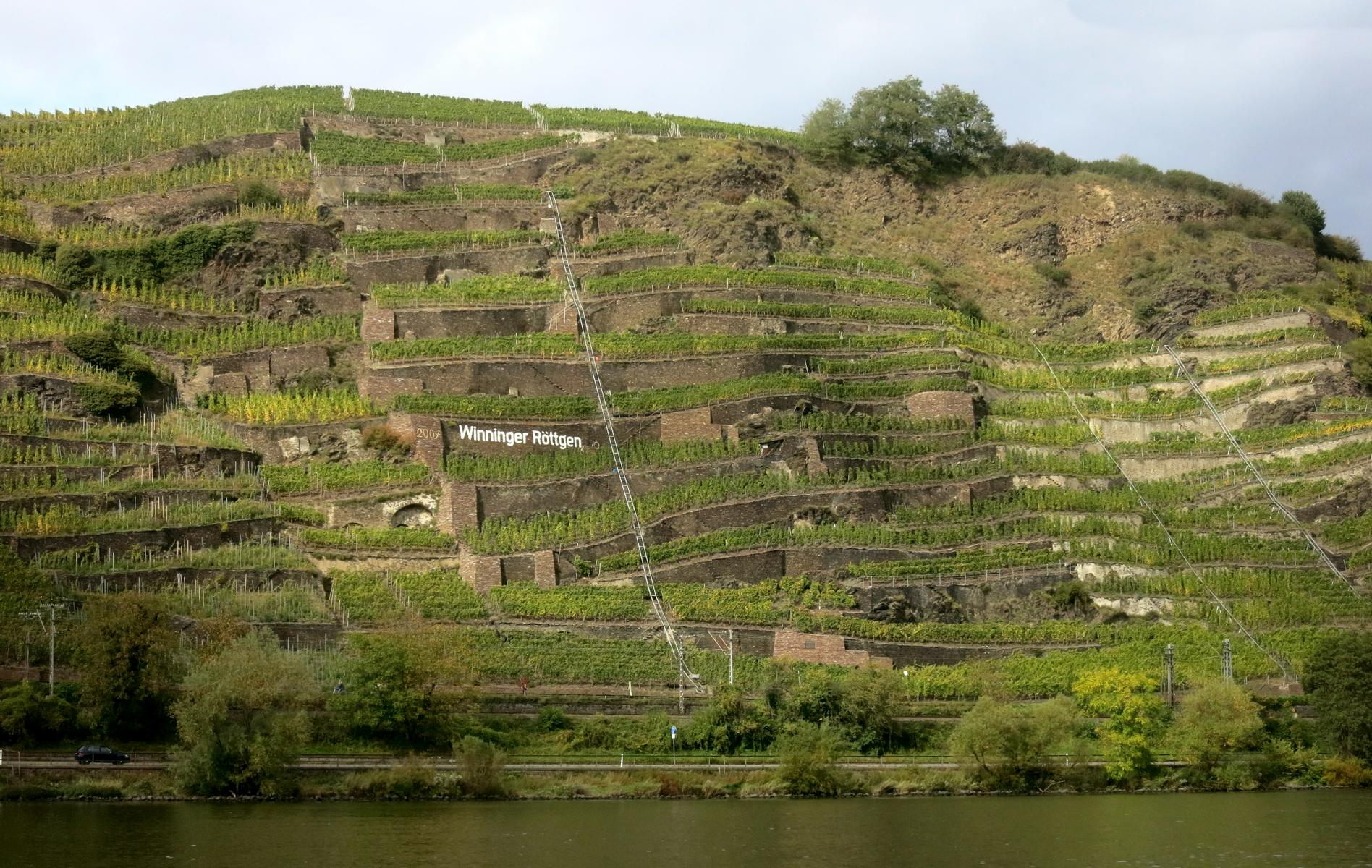 2017 br mosel 77