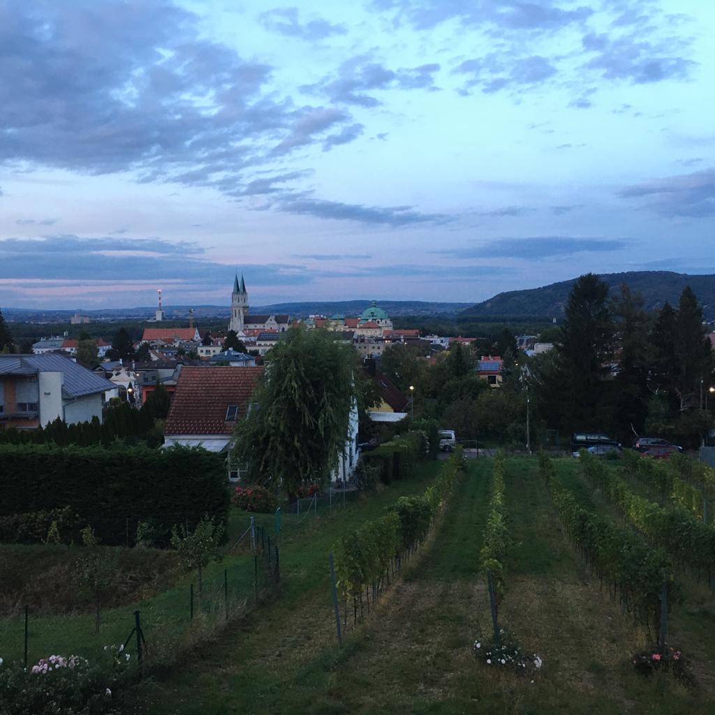2019 WF Wien 005