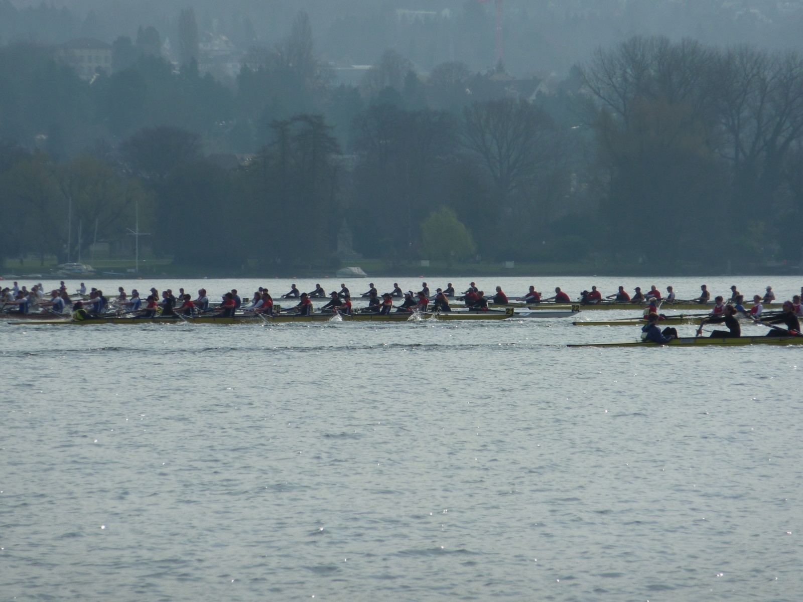 2011 le reg thalwil 017