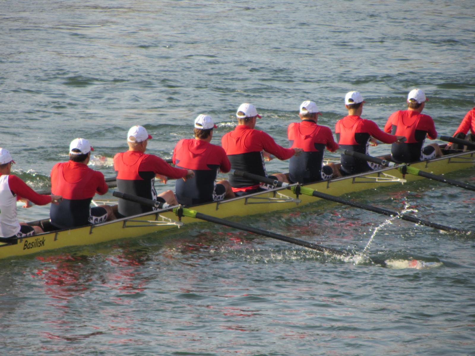 2012 le baselhead 24