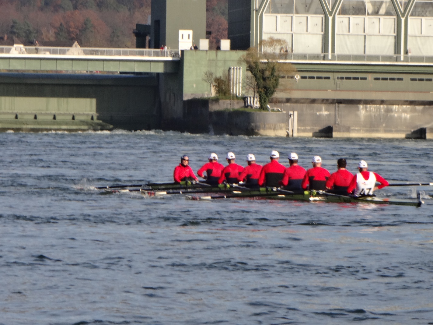 2012 le baselhead 32